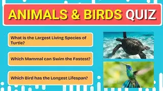 Quiz Monk Animals & Birds Quiz #quizzes for #kids #parents #teachers #schools #quizlovers