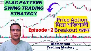 Flag Pattern Swing Trading Strategy | Price Action দিয়ে শক্তিশালী Breakout ধরুন!| Weekly Income করুন