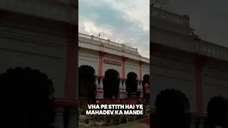 Shree Paradeswar Mahadev Temple #shorts #youtubeshorts #harharmahadev #adventurewithsr