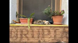 Vivo e lavoro nella Comune 