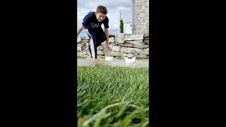 The Great Paper Boat Race