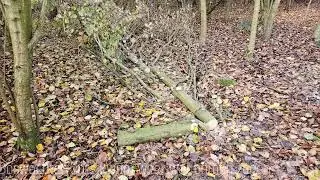 Snoeien doet groeien