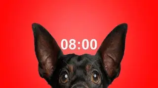 8 Minute Timer for School & Homework | Dog Bark Alarm Sound | Stay Focused & On Task