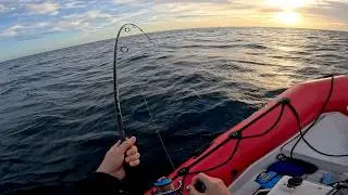 Tenryu Spike Yellowtail & Tuna Rod Review