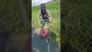 Fishing time #fishing #handfish #amazingfishing #amazing #fishingtips #fishingtricks #carpfishing