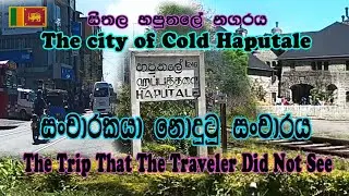 The most beautiful cold town is Haputale, Sri Lanka 🤷‍♂️