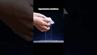 Experimentos Cientificos PARTE 4