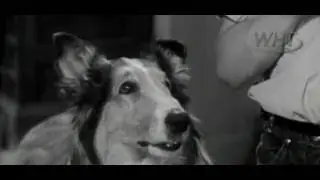 Lassie 03x29 The Search