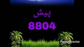 Quran information Al Quran updates Islamics Informations Islam Updates islamic videos islam for all