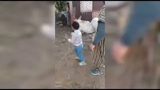 جبل دار الشاوي إقليم طنجة⛰️⛰️🤍