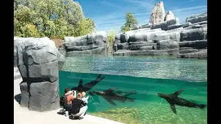 Parc Zoologique de Paris in 4K 60FPS