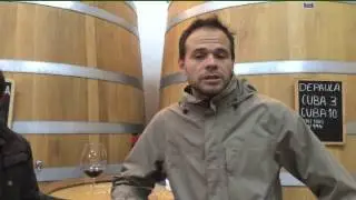 Ponce para Club Vignerons | BODEBOCA