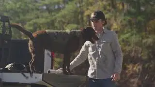 The Most Overbuilt Dog Vest Ever Made | GUNNER&reg; Waterfowl Vest