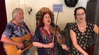 thompsonia Cavalcade performance part 01
