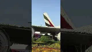 Dubai Miracal Garden P5 #dubai #travel #viral #ytshorts #garden #miracle #views