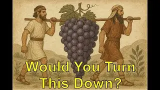 Numbers 13:17-21 - The Land