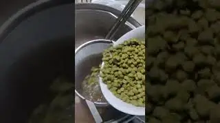 Get the freshest hops for your whirlpool #YakimaValley #hops #homebrew #homebrewing #beer #whirlpool