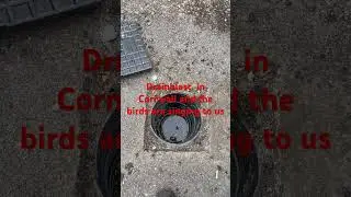Drainblast in Cornwall #drain unblocking