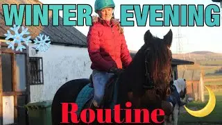 EQUESTRIAN WINTER EVENING ROUTINE 2021|TheFellPony