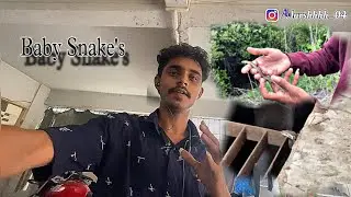 2 Baby Snake&rsquo;s | Adarsh Wadkar | Vlogs