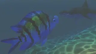 SERGEANT MAJOR VS GREAT WHITE SHARK - Feed And Grow Fish - Part 41