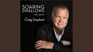 Soaring Swallows
