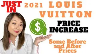 Louis Vuitton Price Increase 2021 | Which pieces went up?