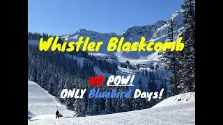Whistler Blackcomb - Bluebird Days!