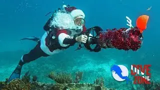 DIVEZONE. Поздравляет с Новым 2019 годом!