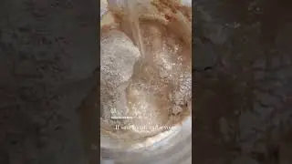 day 3 of the new starter #newstarter #sourdough #feedme #funny #livinglife #homesteading #godisgood