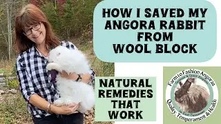 Angora Rabbit Care First Aid Items and Natural Rabbit Care remedies that WORK 