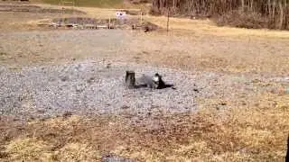 Shooting cinder blocks