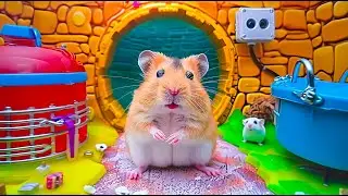 Hamster Great Escape from the Quicksand Maze 🐹💨 Hamster Maze