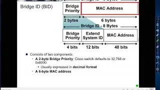 STP Introduction to Bridge ID and Path Cost