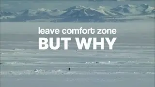 The Penguin That Left the Colony | A Lesson About Comfort Zone