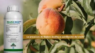 MAXICROP&reg;
