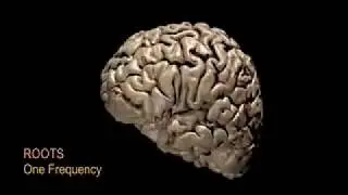 ROOTS - One Frequency