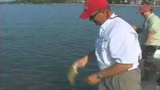 Fly fishing the Lake St. flats with Capt. Brian of Great Lakes Flyfishing LLC