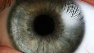 TEARS FROM THE COMPOUND EYE /// BY BOARDS OF CANADA