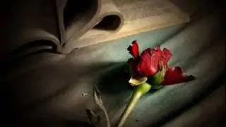 Love Story - Panflute