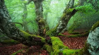 PARC NATUREL REGIONAL DU PILAT