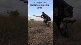 El reclamo perfecto en la MEDIA VEDA para las PALOMAS