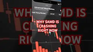 AMD Just CRASHED 17%! 📉 The 
