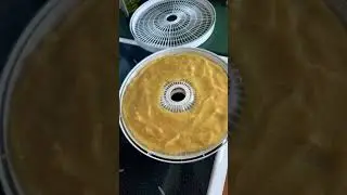 Homemade fruit leather made from applesauce