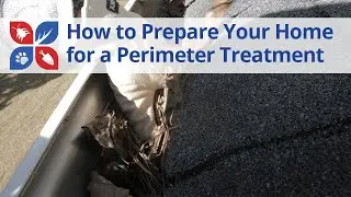 How to Prepare your Home for a Perimeter Pest Control Treatment | DoMyOwn.com