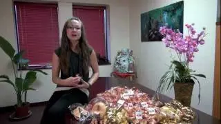 KC Fortune Cookie Factory - Golden Ticket Promotion