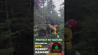 Apply for the Forest Ranger Civil Service Exam Today #forestranger #lawenforcement