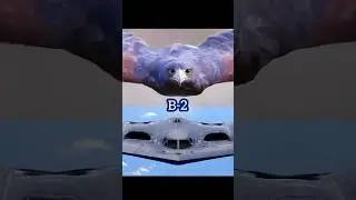 B-2 Spirit Stealth Bomber &ndash; America&rsquo;s Ghost Jet | B-2 American Jet