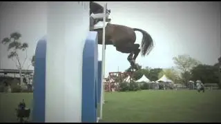 FEI Nations Cup 2011 - Hickstead Preview 1