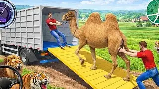 Animal Cargo Truck Driving Game 3D - Animal Transport Cargo Truck 2024 - Android Gameplay